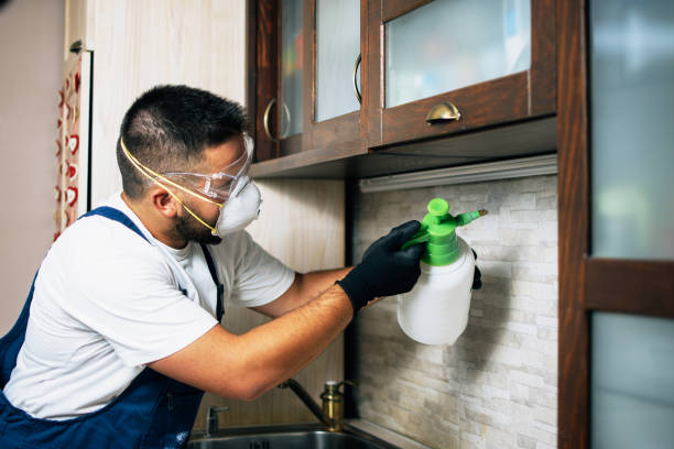 Best Affordable Pest Control Services  in Brushy Creek, TX