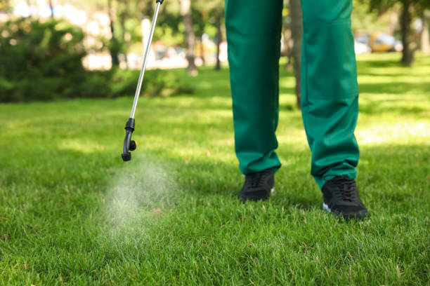 Best Insect Control  in Brushy Creek, TX
