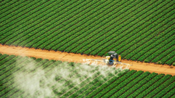 Brushy Creek, TX Pest Control Company