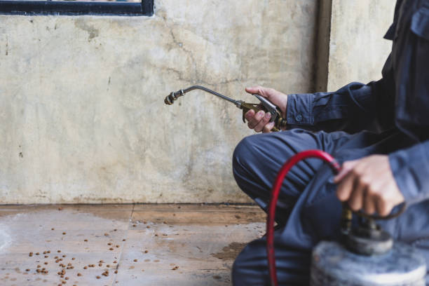 Best Commercial Pest Control Services  in Brushy Creek, TX